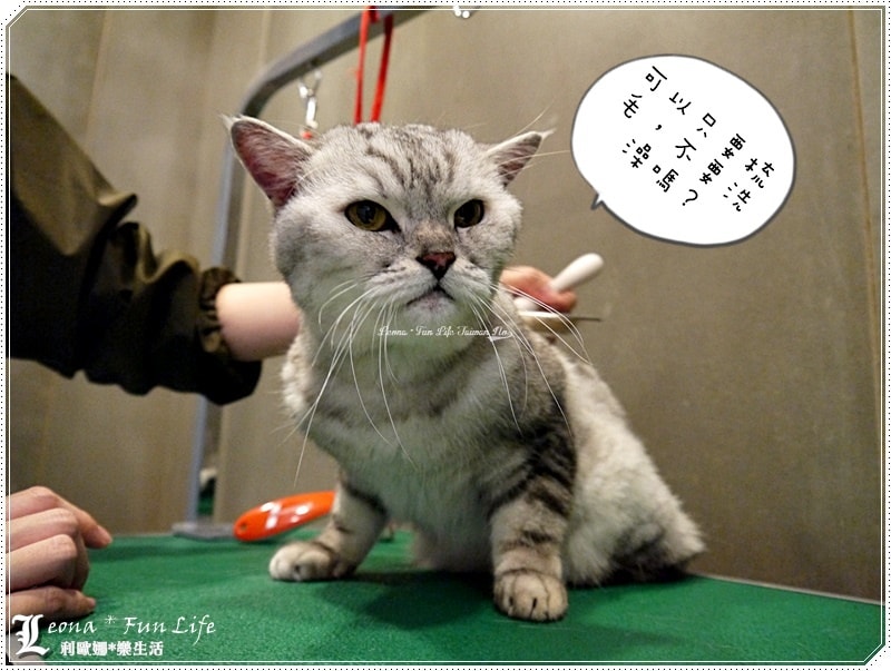 20251027_-97 20251027_-97