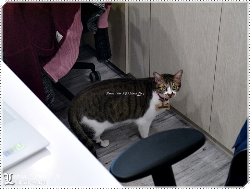 20251027_-98 20251027_-98