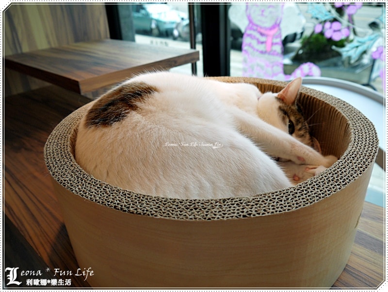 20251027_-99 20251027_-99