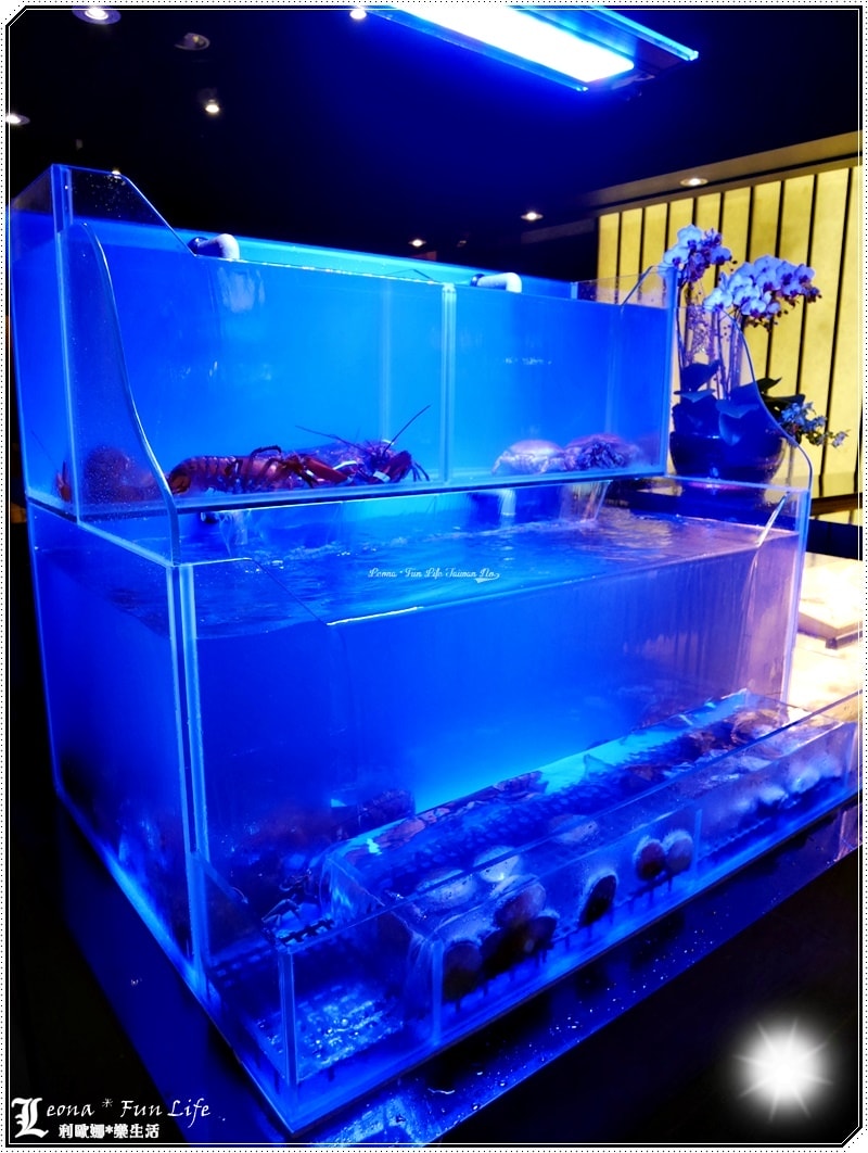 20251027_-104 20251027_-104