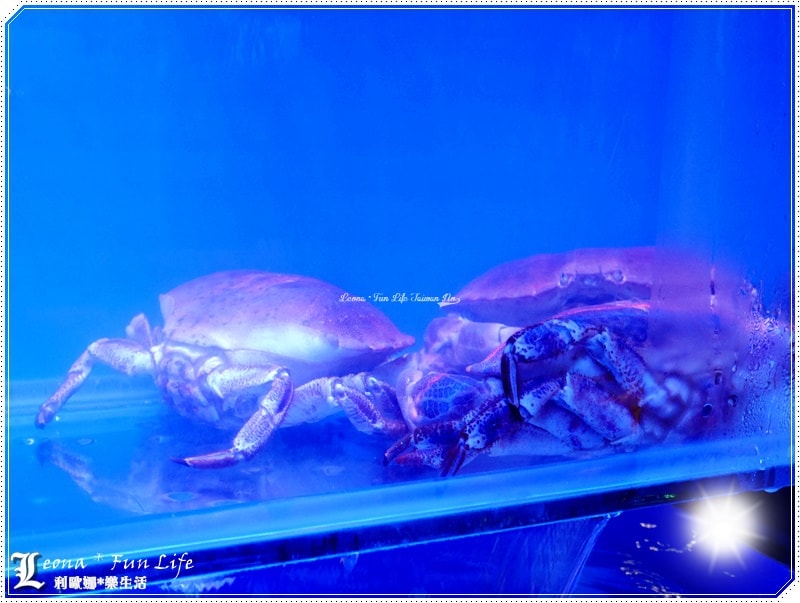 20251027_-105 20251027_-105