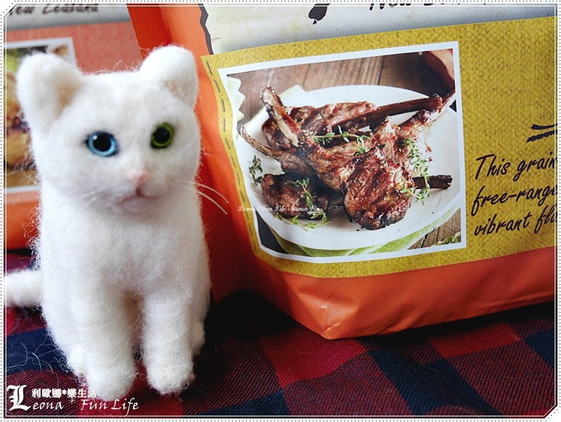 20251027_-158 20251027_-158