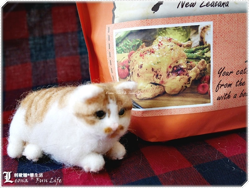 20251027_-159 20251027_-159