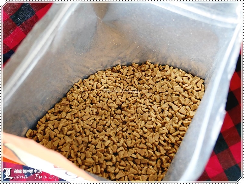 20251027_-162 20251027_-162