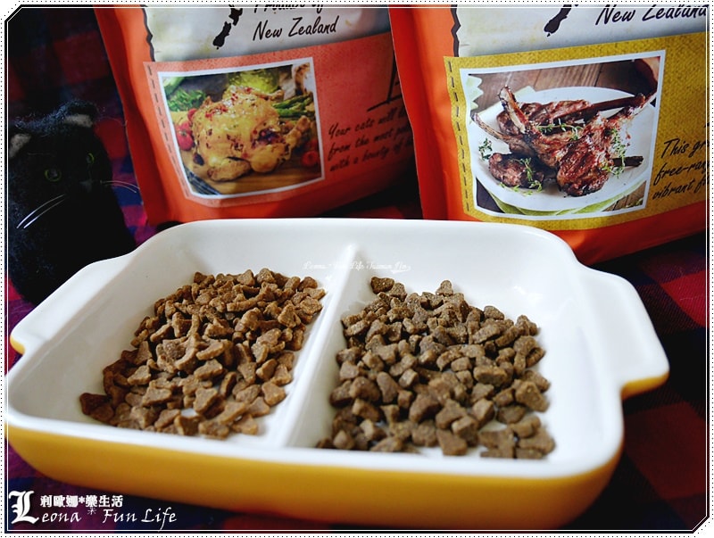 20251027_-164 20251027_-164