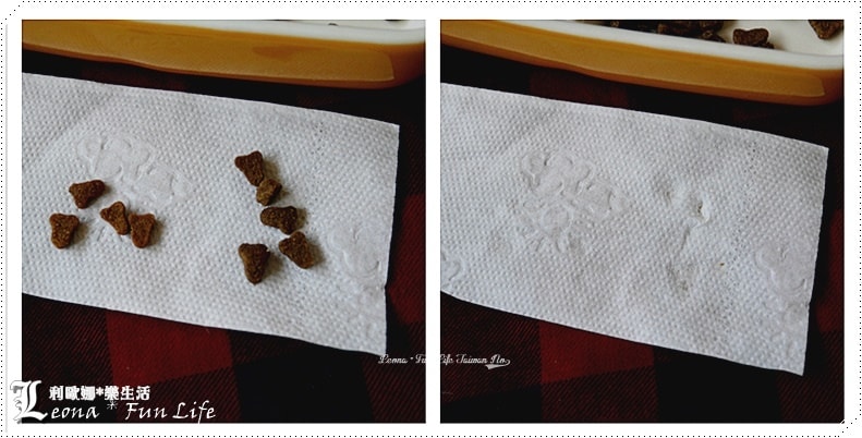 20251027_-165 20251027_-165