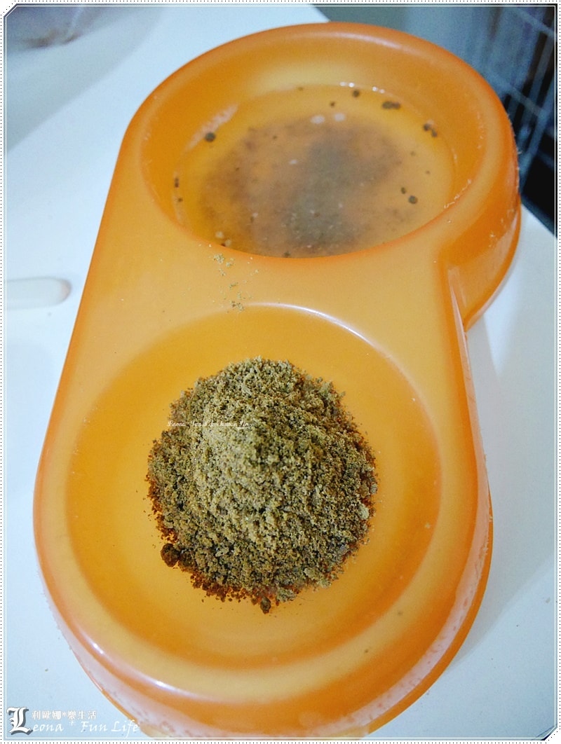 20251027_-166 20251027_-166