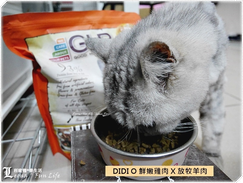 20251027_-167 20251027_-167