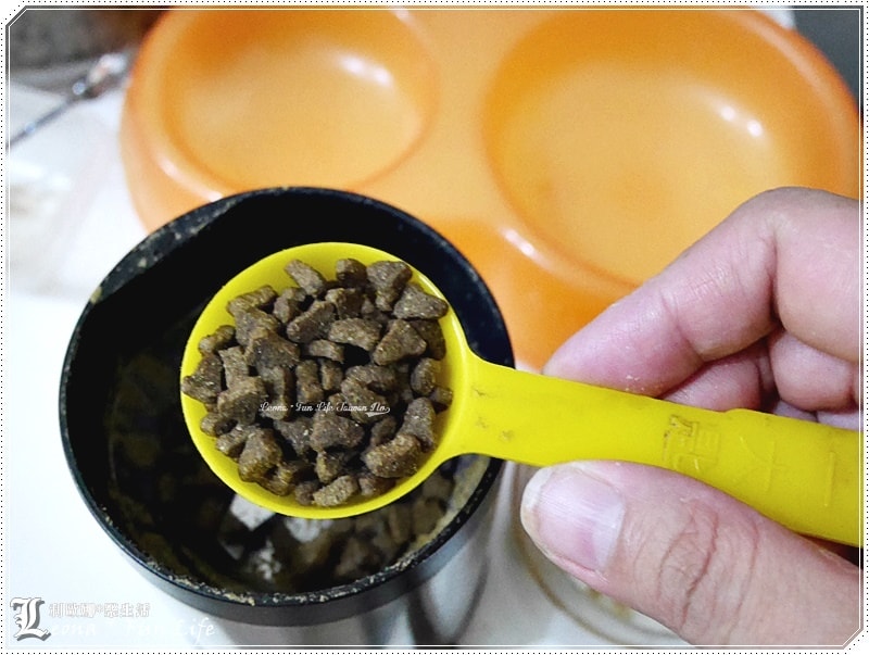 20251027_-168 20251027_-168