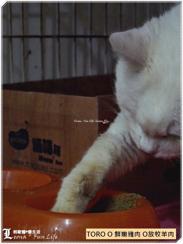 20251027_-169 20251027_-169