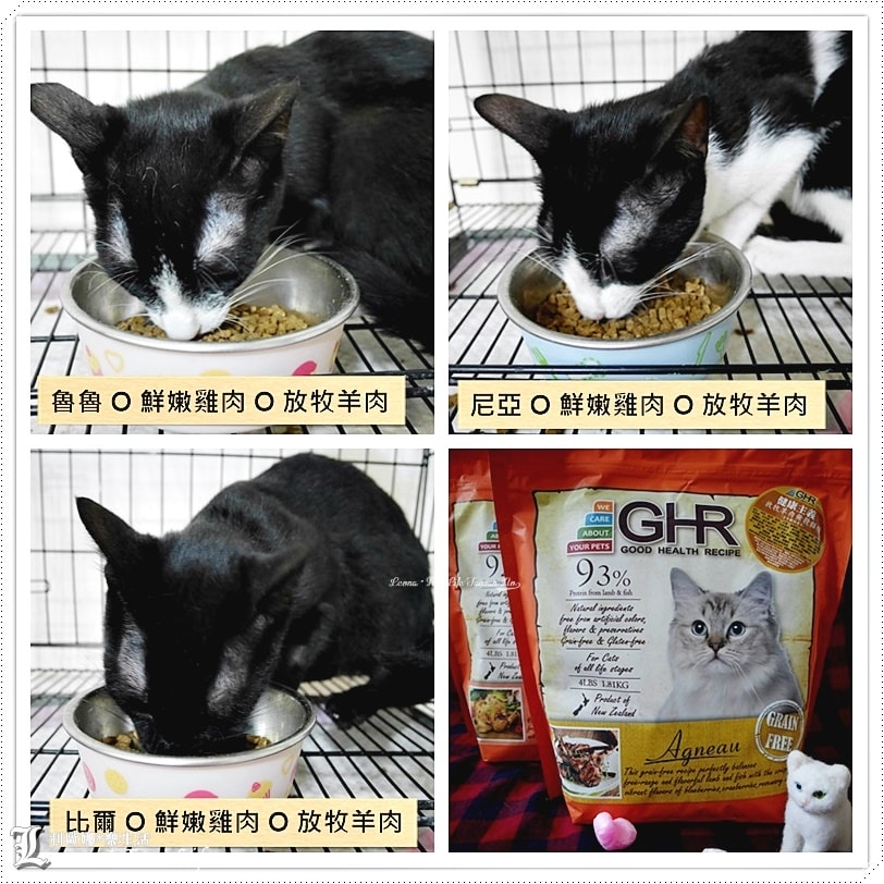 20251027_-170 20251027_-170