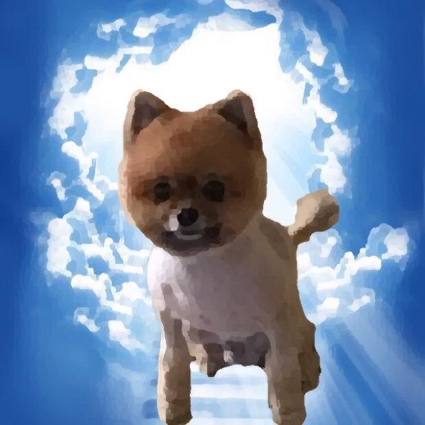 20251027_-173 20251027_-173