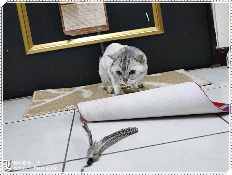 20251027_-174 20251027_-174