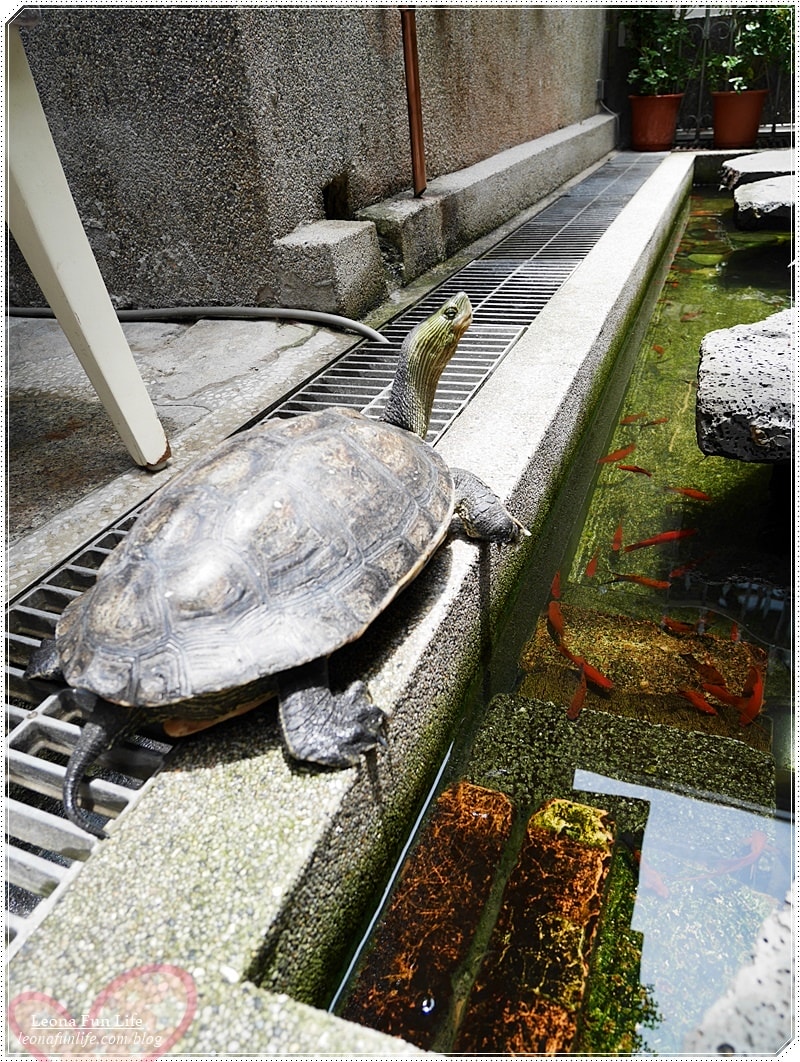 20251027_-212 20251027_-212