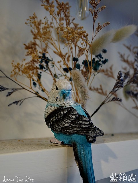 20251027_-289 20251027_-289