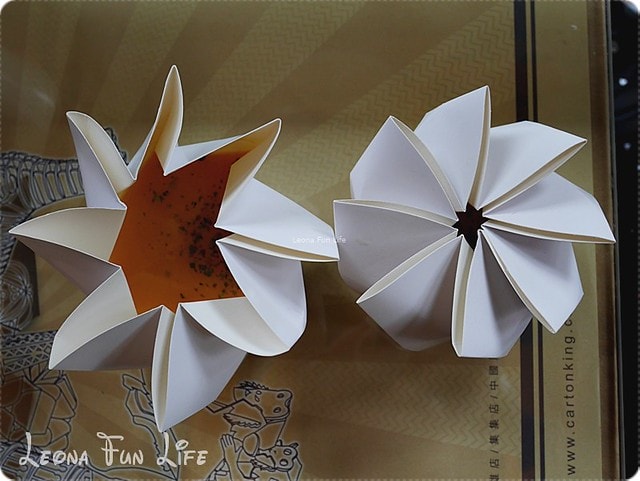 20251027_-163 20251027_-163