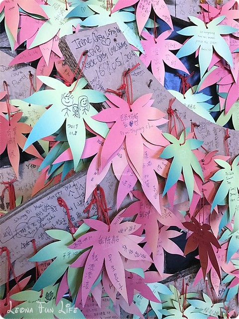 20251027_-195 20251027_-195