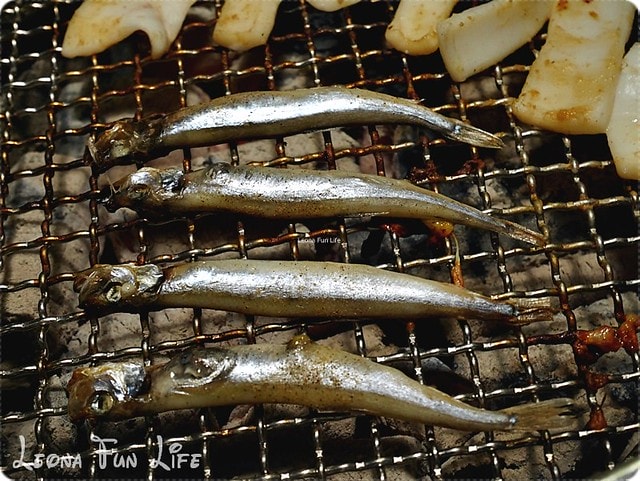 20251027_-282 20251027_-282