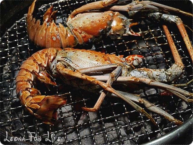 20251027_-290 20251027_-290