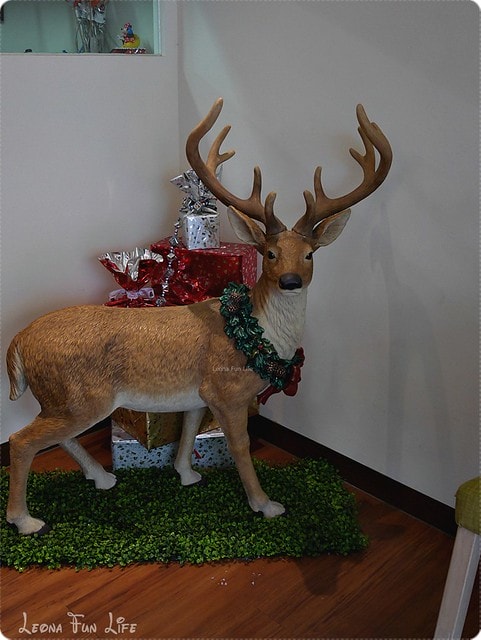 20251027_-342 20251027_-342