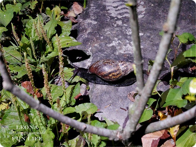 20251027_-29 20251027_-29