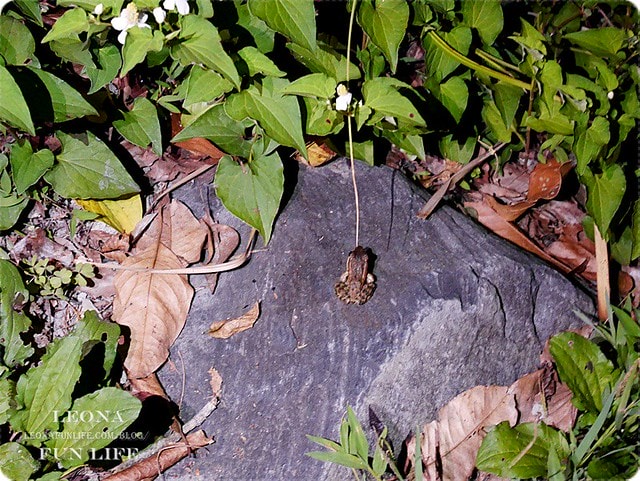 20251027_-30 20251027_-30