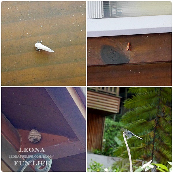 20251027_-47 20251027_-47