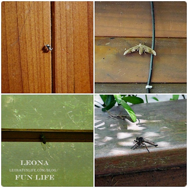 20251027_-48 20251027_-48