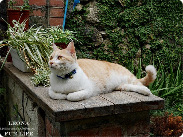 20251027_-121 20251027_-121