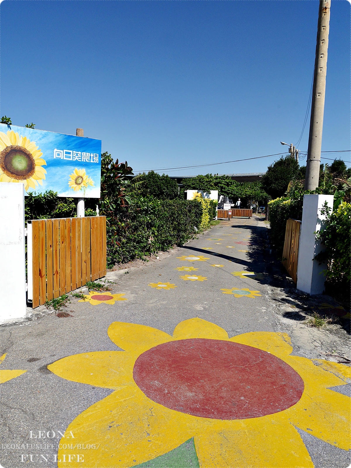 20251027_-257 20251027_-257