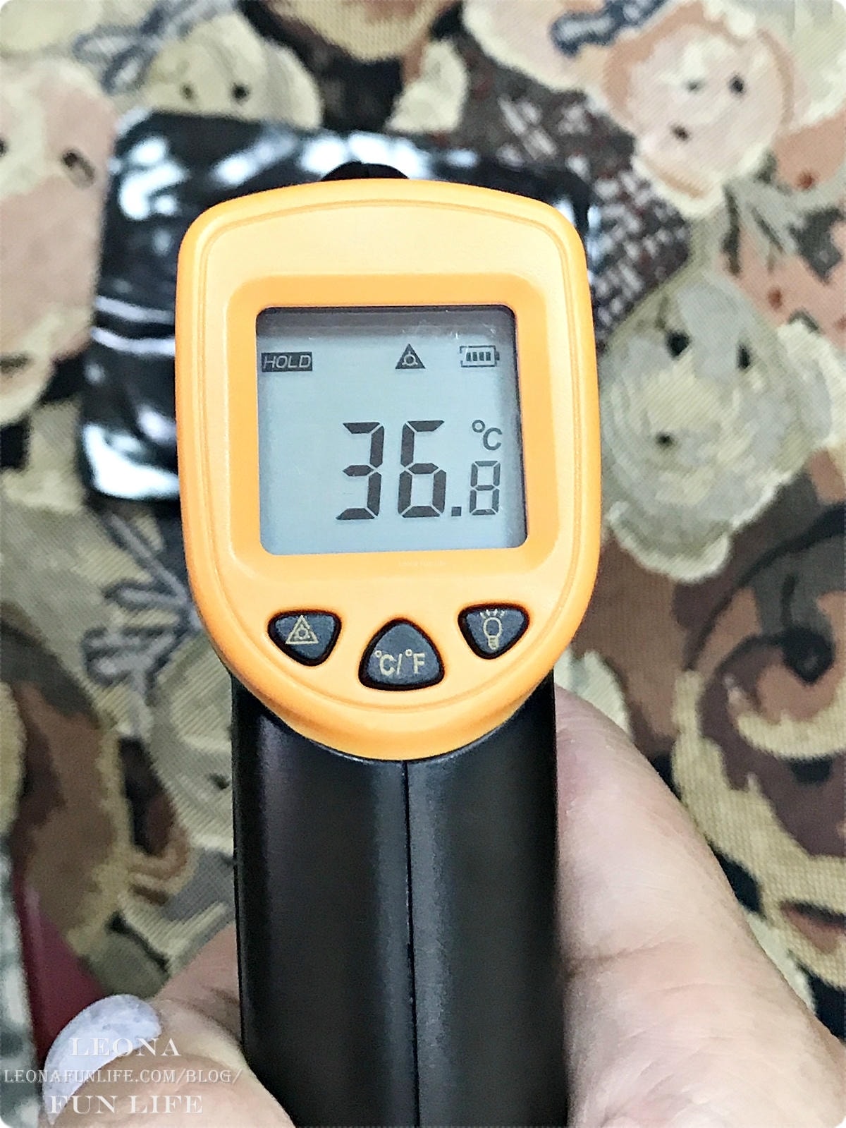 20251027_-343 20251027_-343