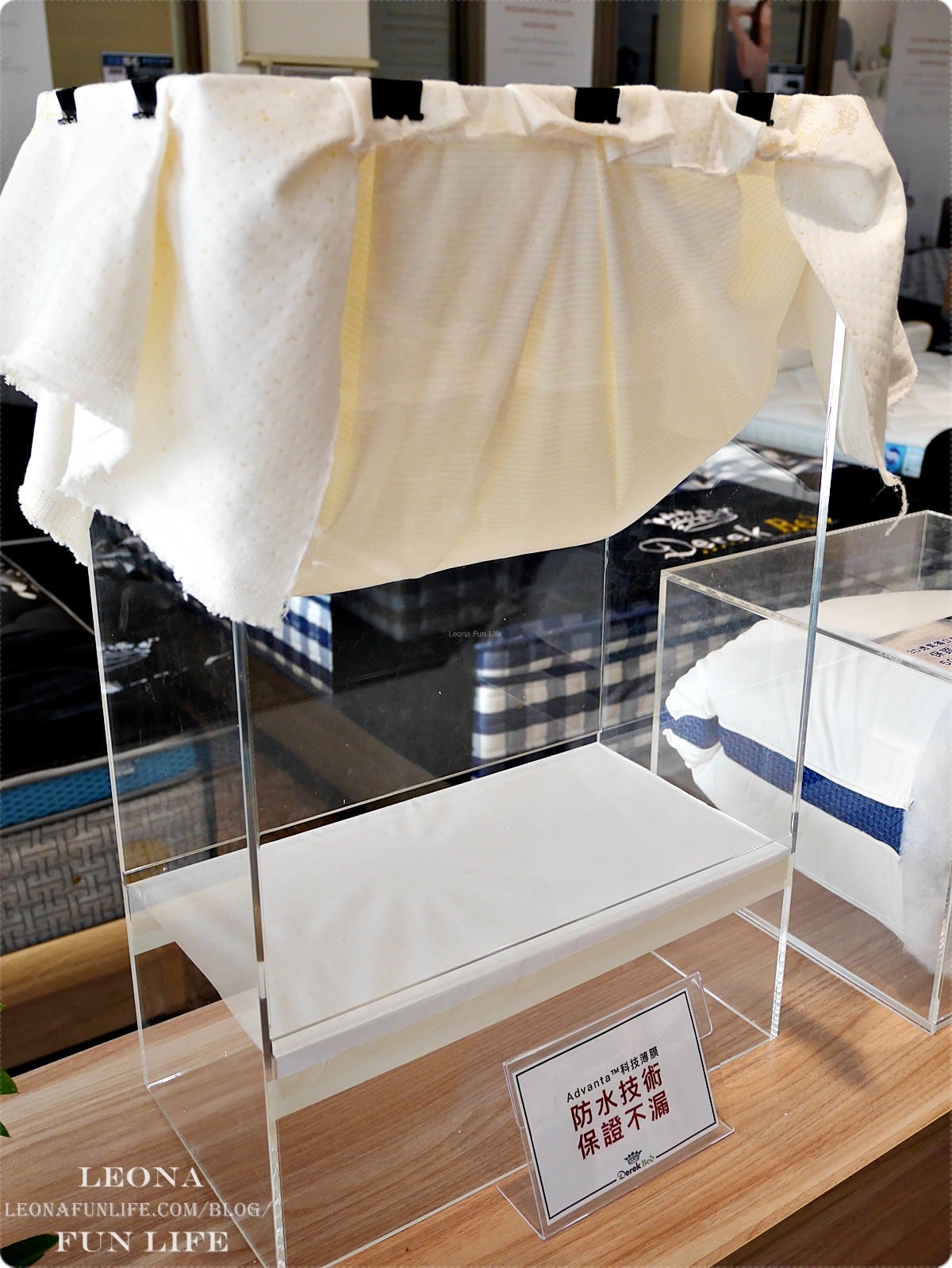 20251027_-74 20251027_-74