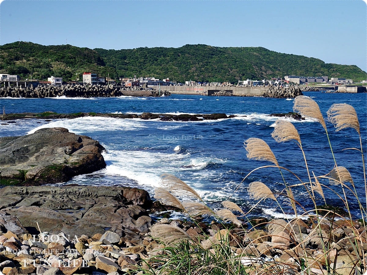 20251027_-113 20251027_-113