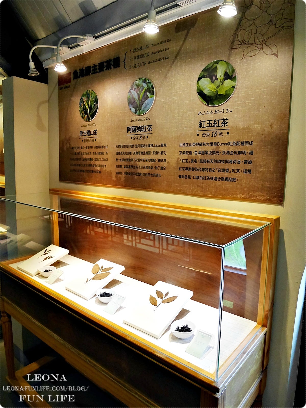 20251027_-104 20251027_-104