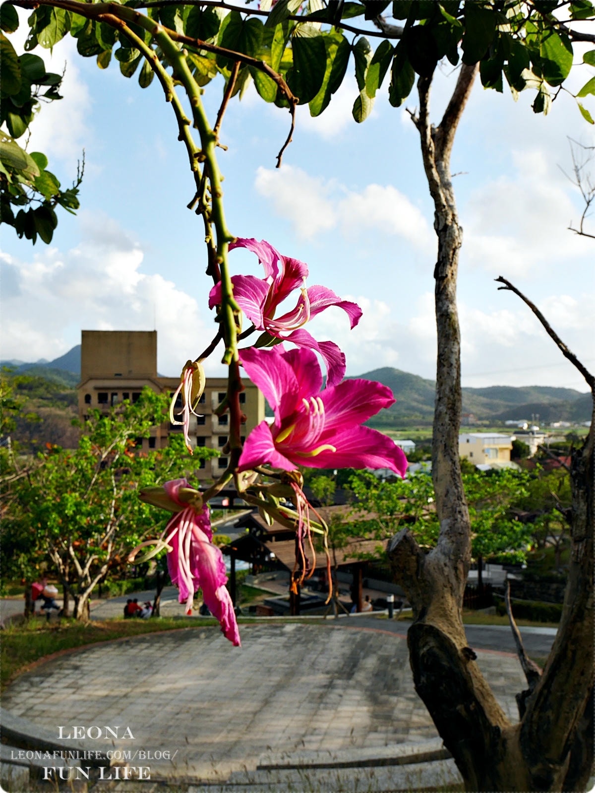 20251027_-164 20251027_-164