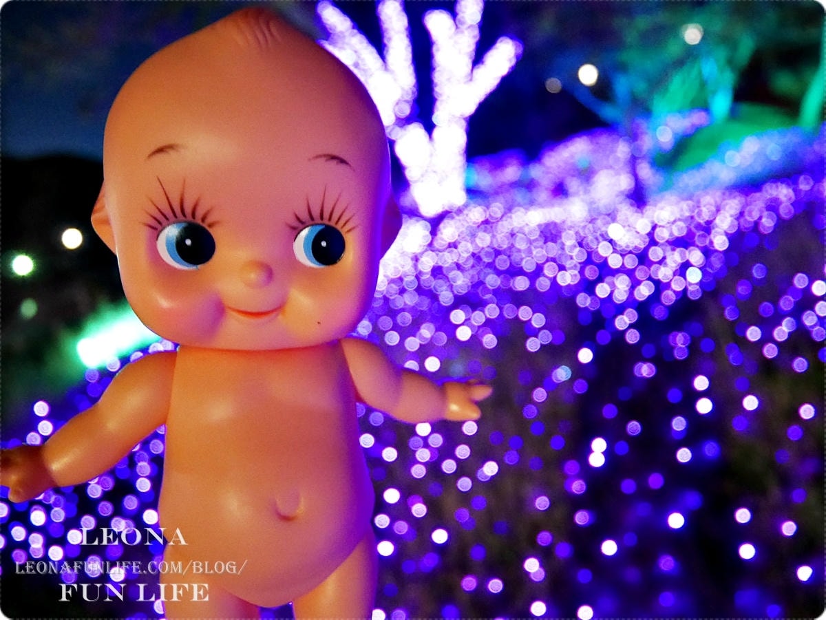 20251027_-173 20251027_-173