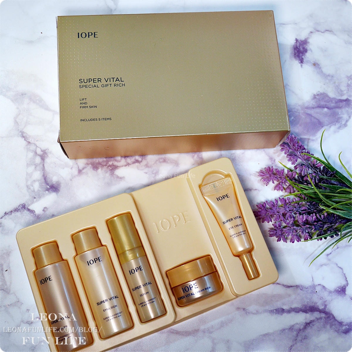 20251027_-46 20251027_-46