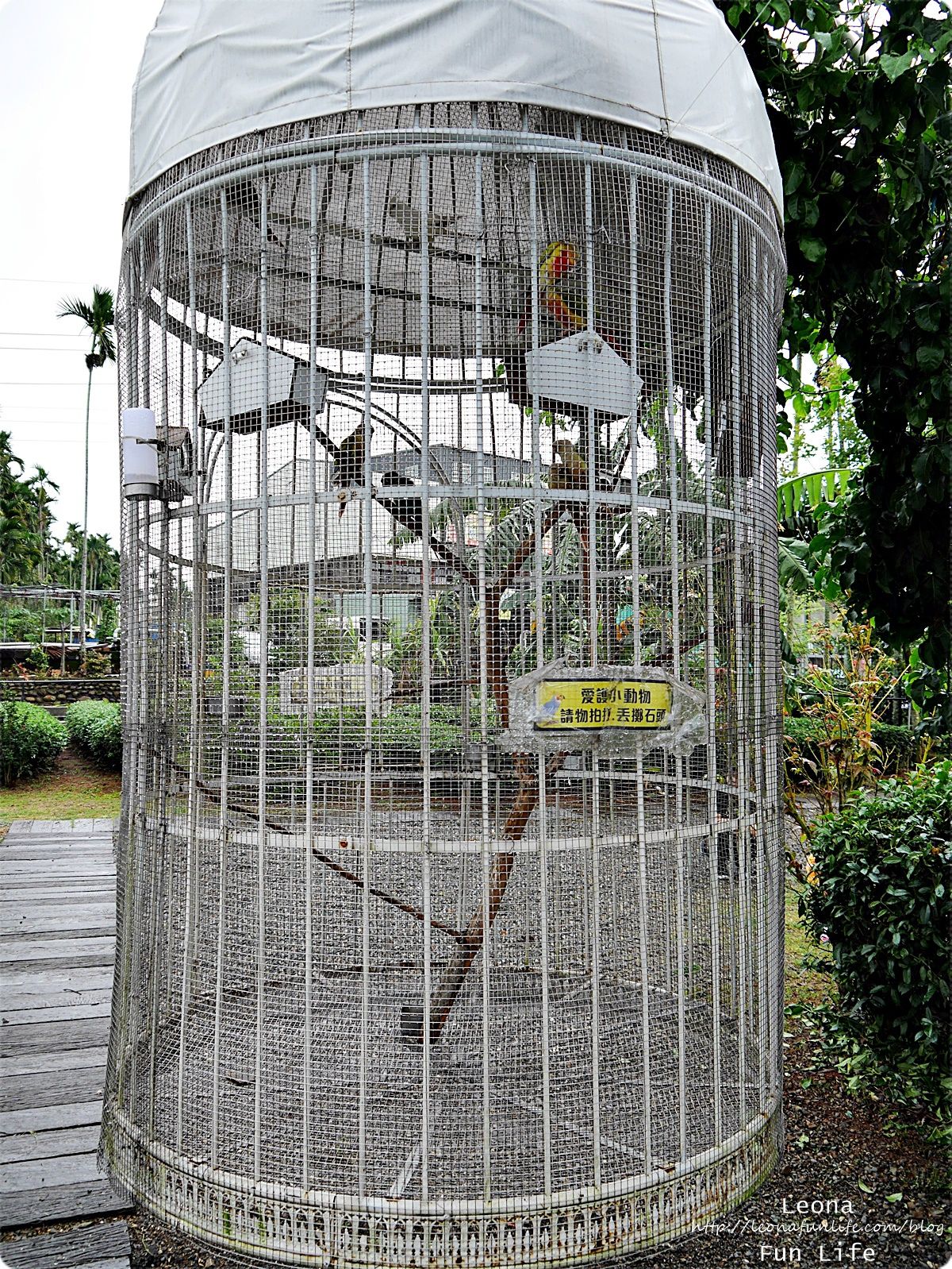 20251027_-265 20251027_-265