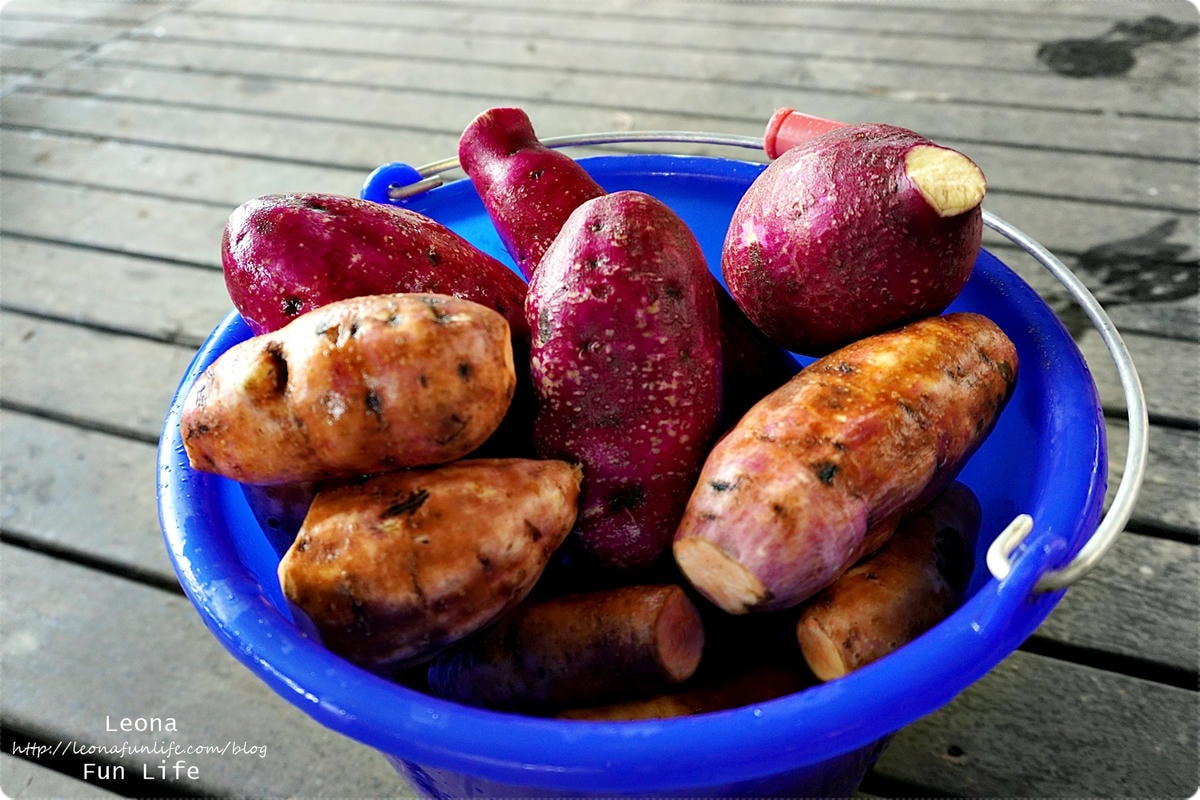 20251027_-258 20251027_-258