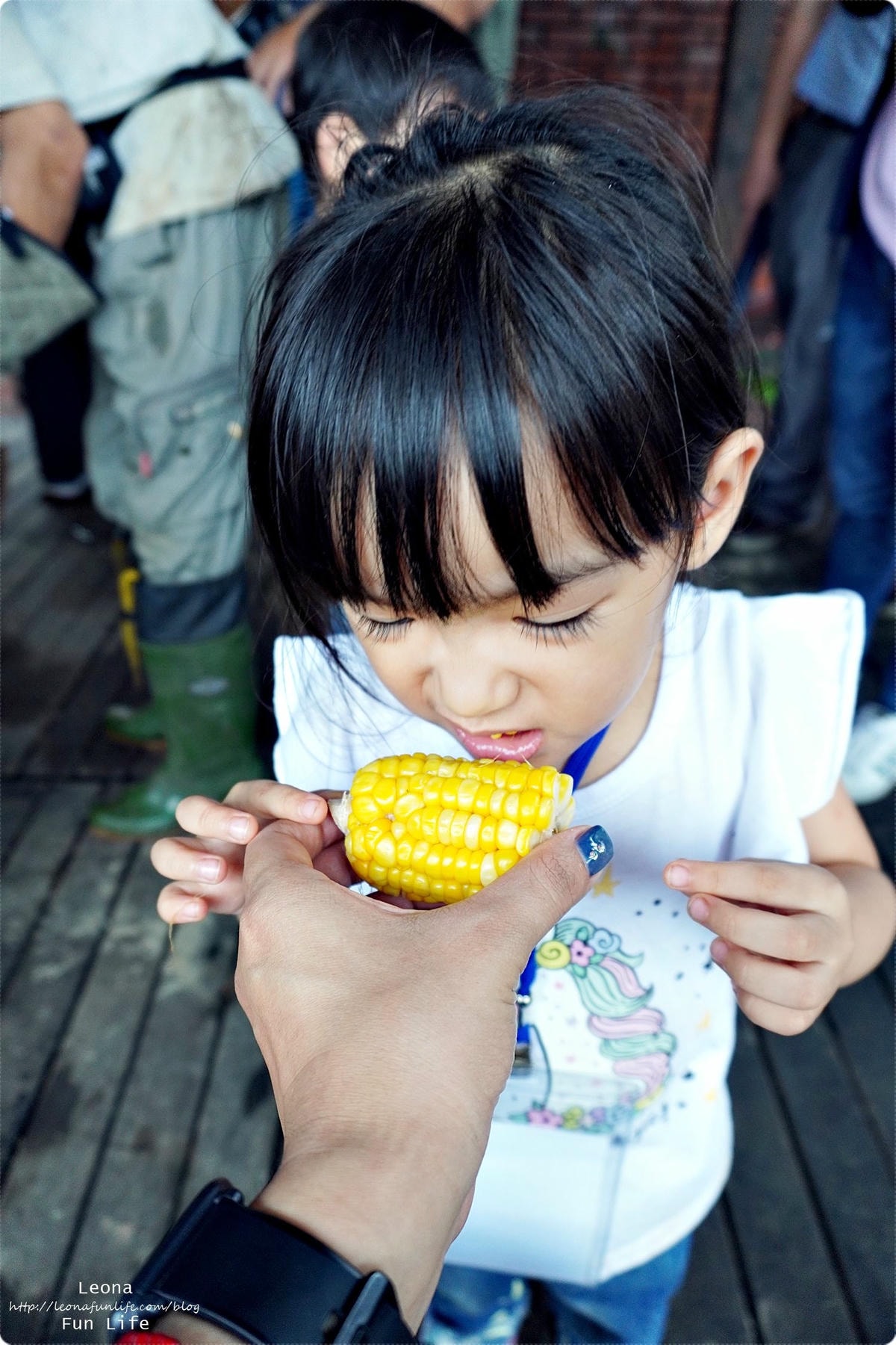 20251027_-265 20251027_-265