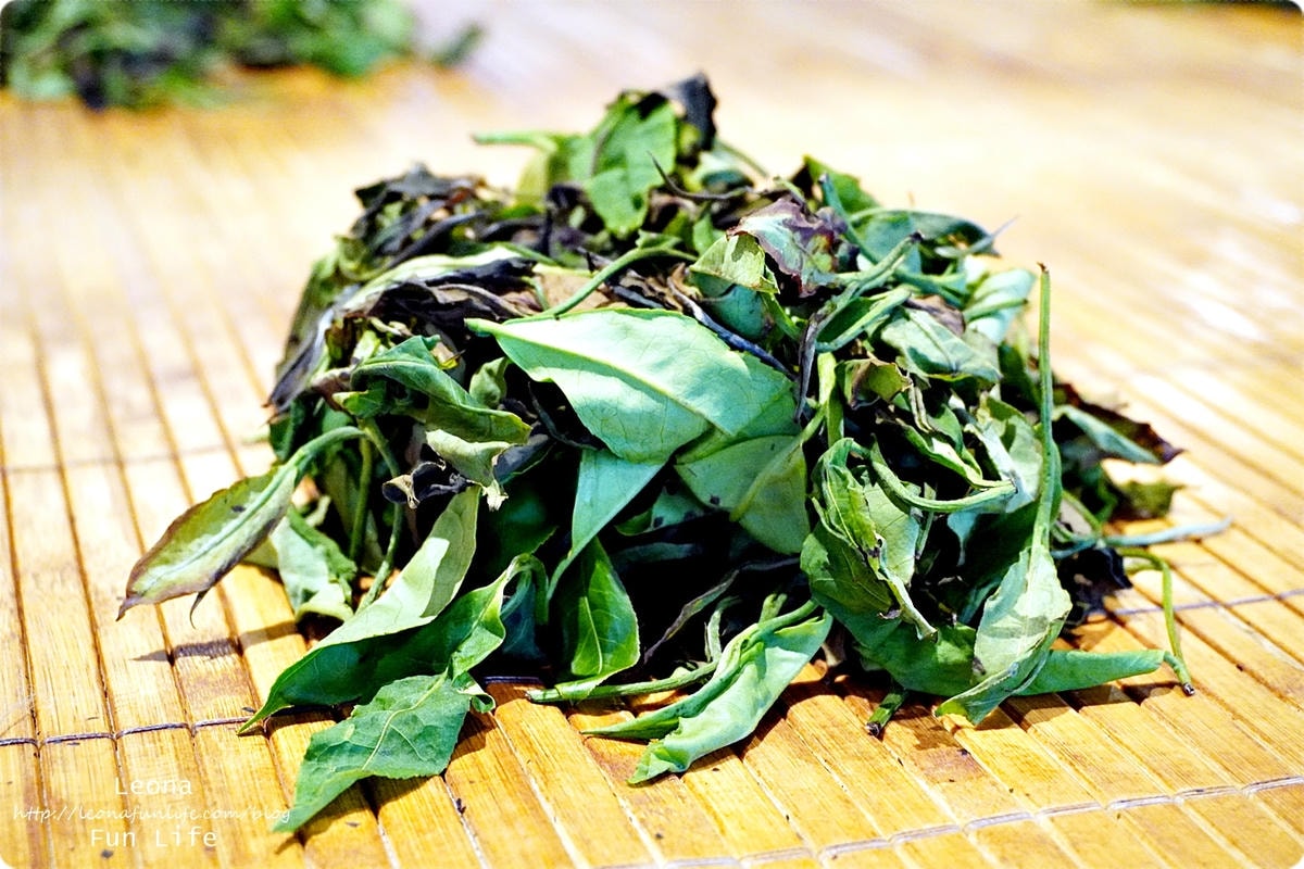 20251027_-257 20251027_-257