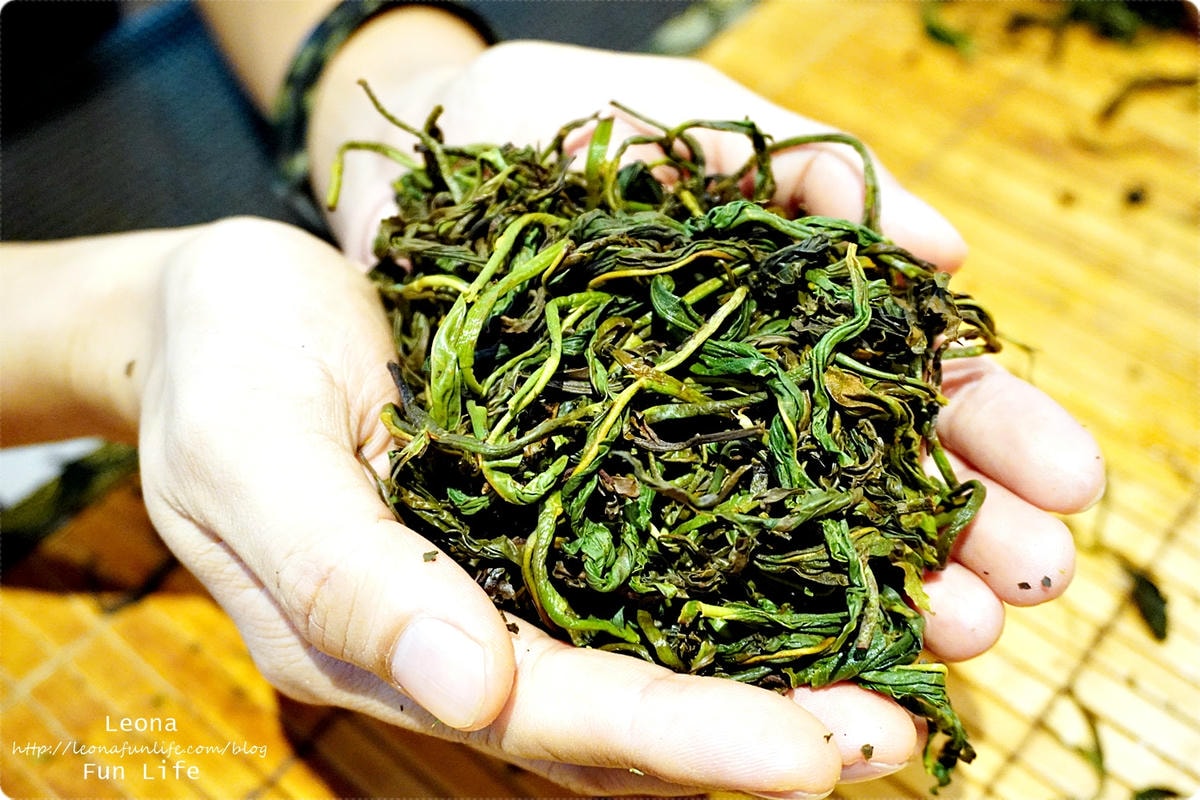 20251027_-259 20251027_-259