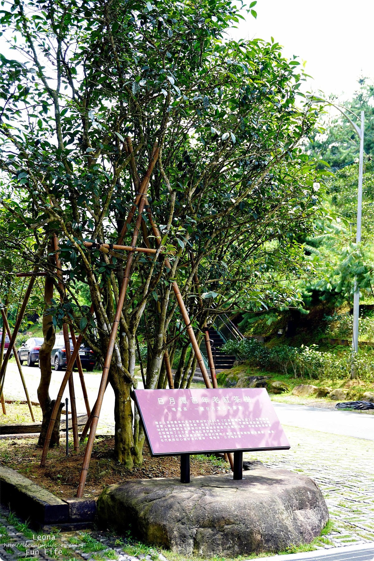 20251027_-405 20251027_-405