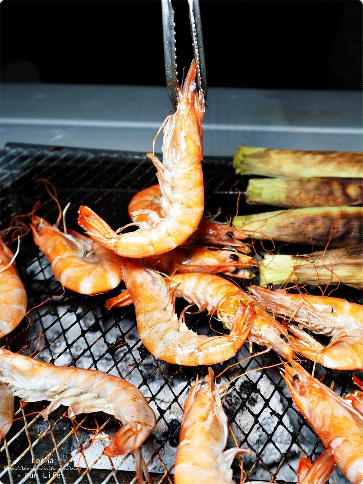 20251027_-230 20251027_-230