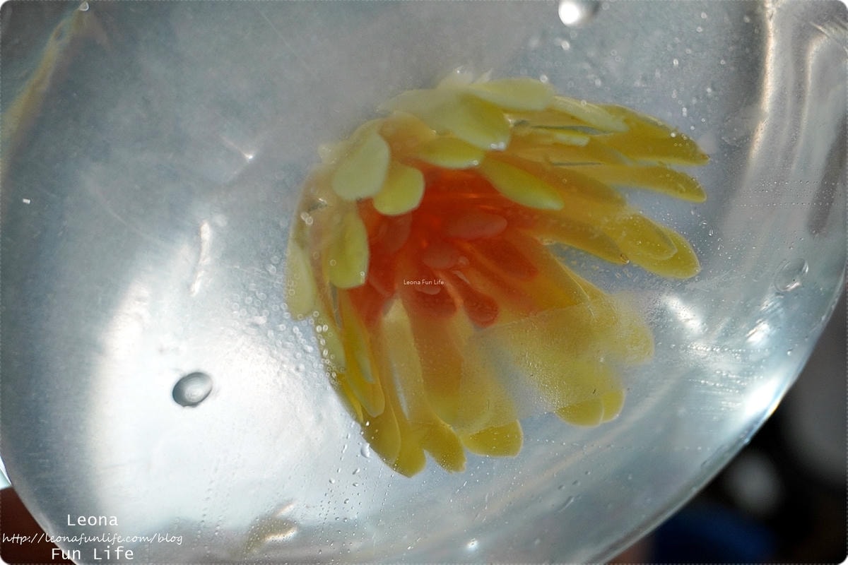 20251027_-109 20251027_-109