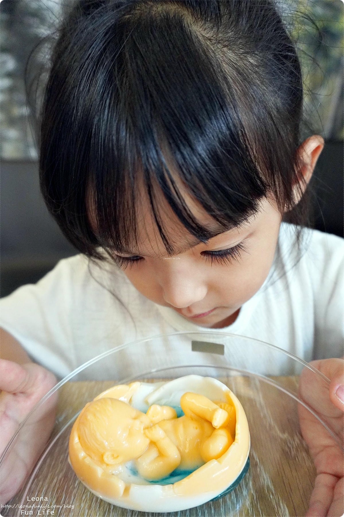 20251027_-117 20251027_-117