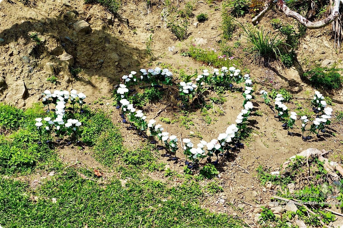 20251027_-151 20251027_-151