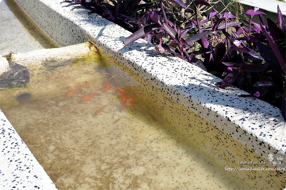 20251027_-169 20251027_-169