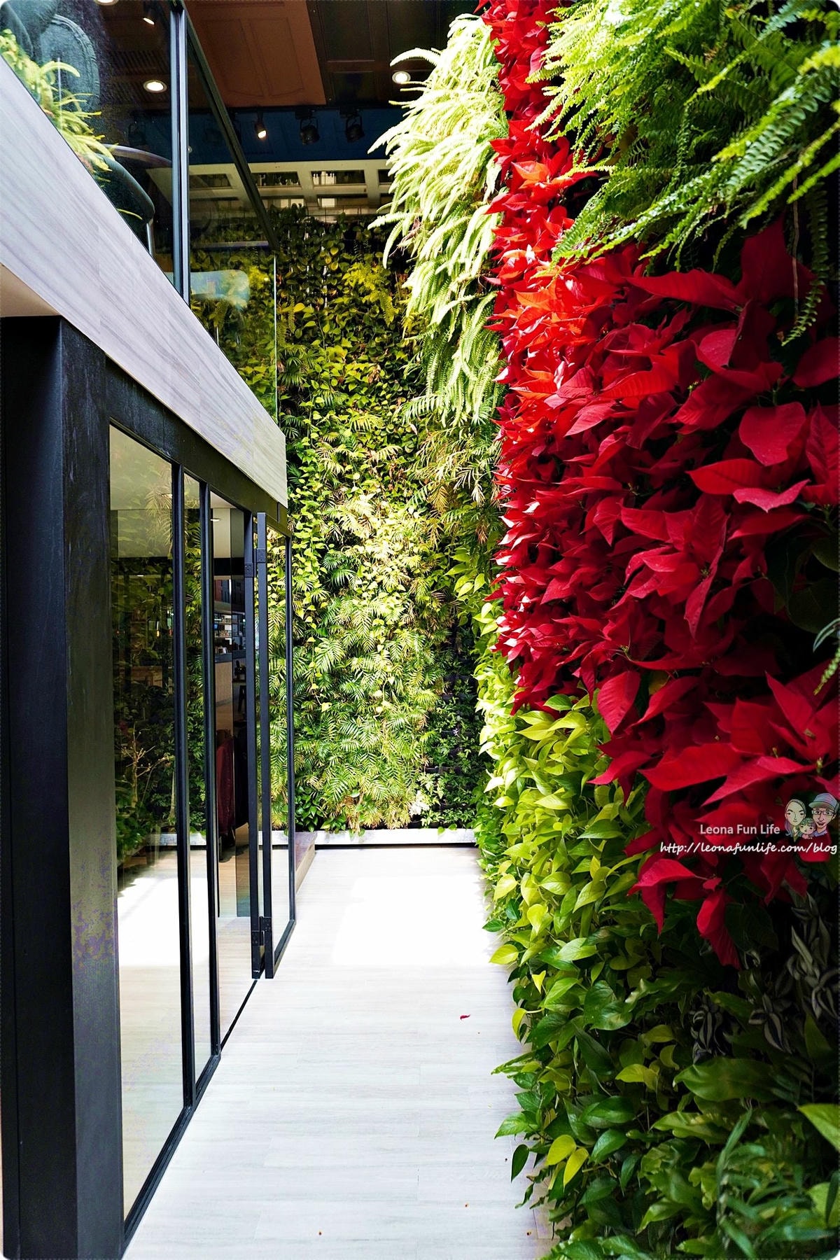 20251027_-81 20251027_-81