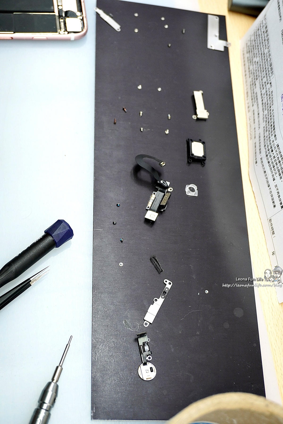 20251027_-81 20251027_-81